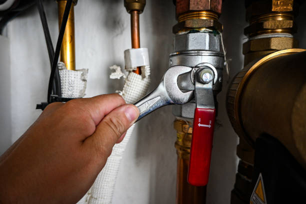 Best Local Plumber Services  in Puxico, MO